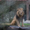 IMG_1592822