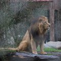 IMG_1592824