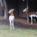 IMG_1592825