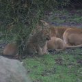 IMG_1592839