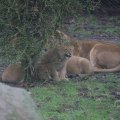 IMG_1592840