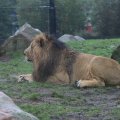 IMG_1592844