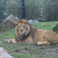 IMG_1592845