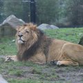 IMG_1592848