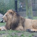 IMG_1592852