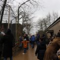 IMG_1592859
