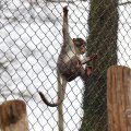 IMG_1592860