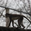 IMG_1592861
