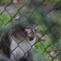 IMG_1592864