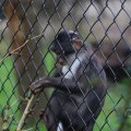 IMG_1592866