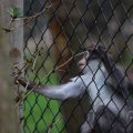 IMG_1592868