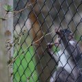 IMG_1592869