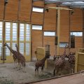 IMG_1592887