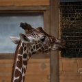 IMG_1592889