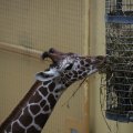 IMG_1592891