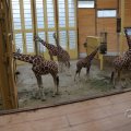 IMG_1592893