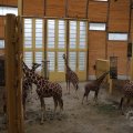 IMG_1592895