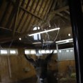 IMG_1592896