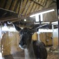 IMG_1592898