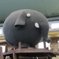 IMG_1592904