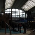 IMG_1592908