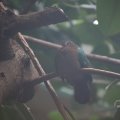 IMG_1592914