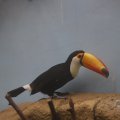 IMG_1592921