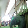 IMG_1592935