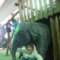IMG_1592938