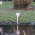 IMG_1592958