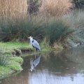 IMG_1592959