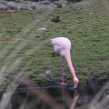 IMG_1592960