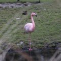 IMG_1592961