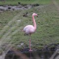 IMG_1592963