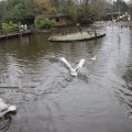 IMG_1592971