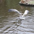 IMG_1592972