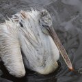 IMG_1592973