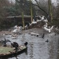 IMG_1592976