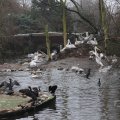 IMG_1592977