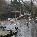 IMG_1592978