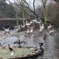 IMG_1592979