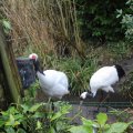 IMG_1592980