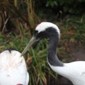 IMG_1592986