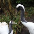 IMG_1592987