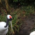 IMG_1592989