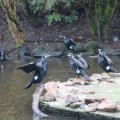 IMG_1592990