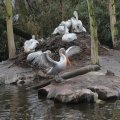 IMG_1592992