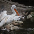 IMG_1592994