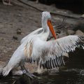 IMG_1592995
