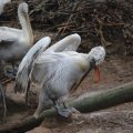 IMG_1592996